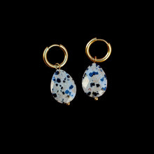 Load image into Gallery viewer, Boucles d'oreilles inoxydables Jaspe Dalmatien