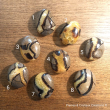 Charger l'image dans la galerie, Galets Septaria