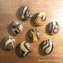 Charger l'image dans la galerie, Galets Septaria