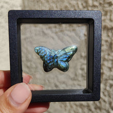 Load image into Gallery viewer, Papillon en Labradorite

