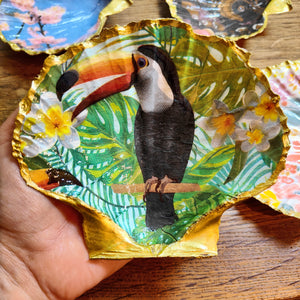Coquillage à bijoux