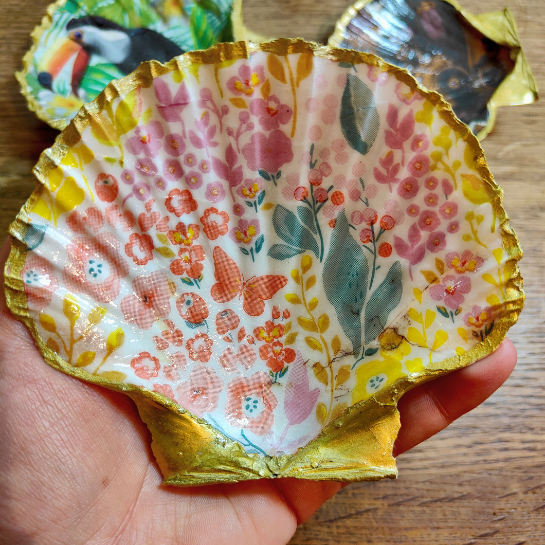 Coquillage à bijoux