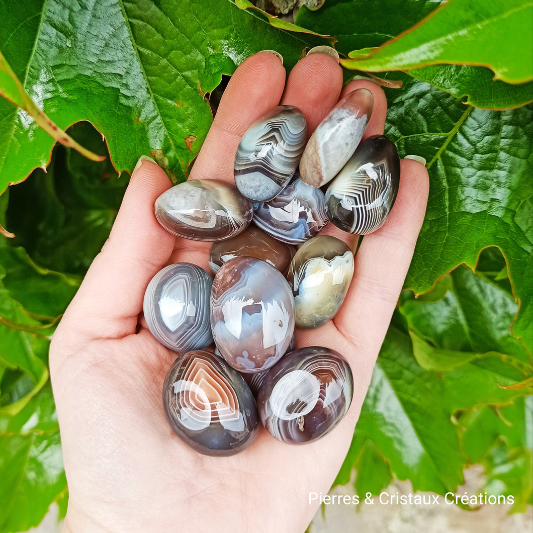 Agates de Botswana