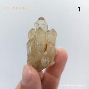 Pointes naturelles Citrine