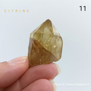 Pointes naturelles Citrine